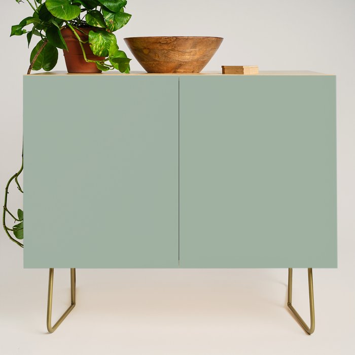 Neutral Sage Grey III Solid Color Credenza Gallery Image 1
