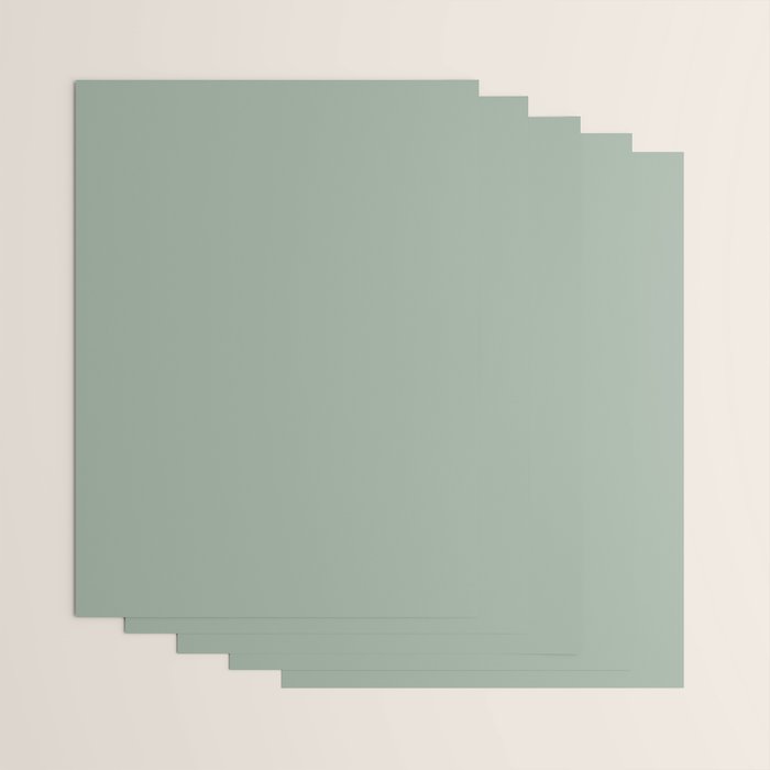 Neutral Sage Grey III Solid Color Wrapping Paper Gallery Image 3