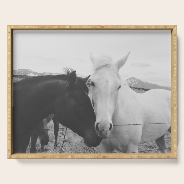 Horse Pair Serving Tray Gallery Image 1