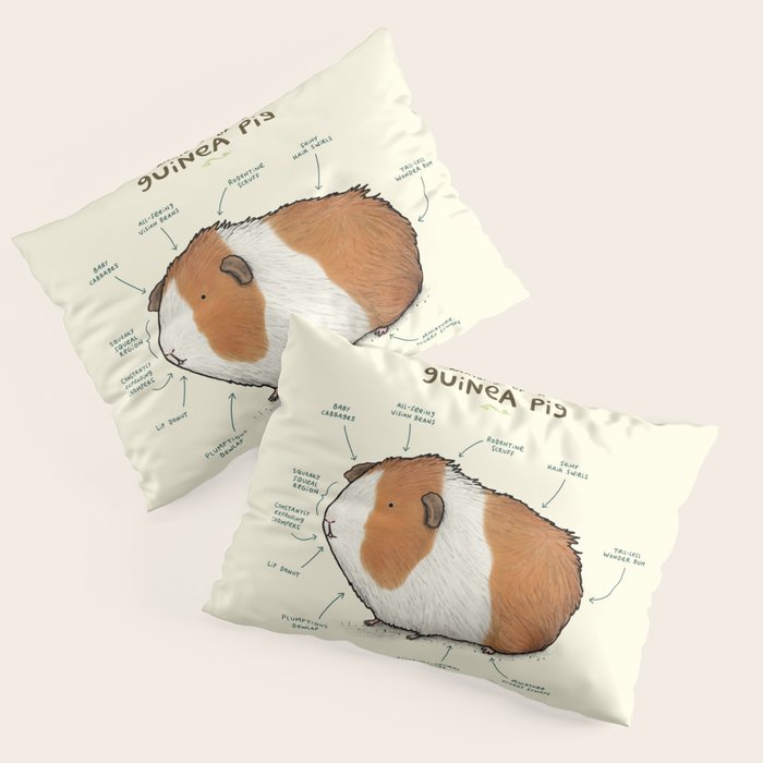 Anatomy of a Guinea Pig Pillow Sham Gallery Image 1