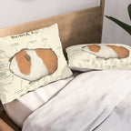 Anatomy of a Guinea Pig Pillow Sham Gallery Image 2