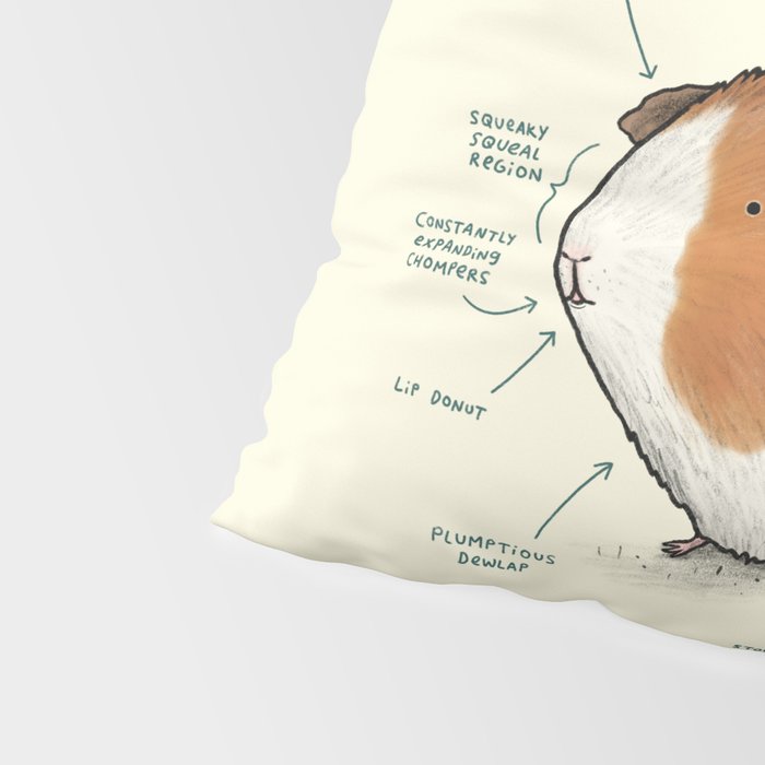 Anatomy of a Guinea Pig Pillow Sham Gallery Image 4