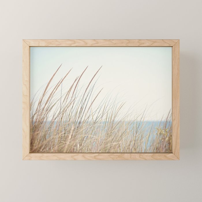 Beach Grass Photography, Calming Coastal Photo Print, Relaxing Beach House Photograph, Seaside Photo Mini Art Print