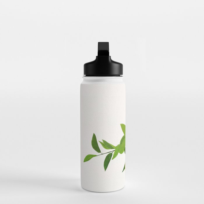 Lemon Branches III Water Bottle Gallery Image 3
