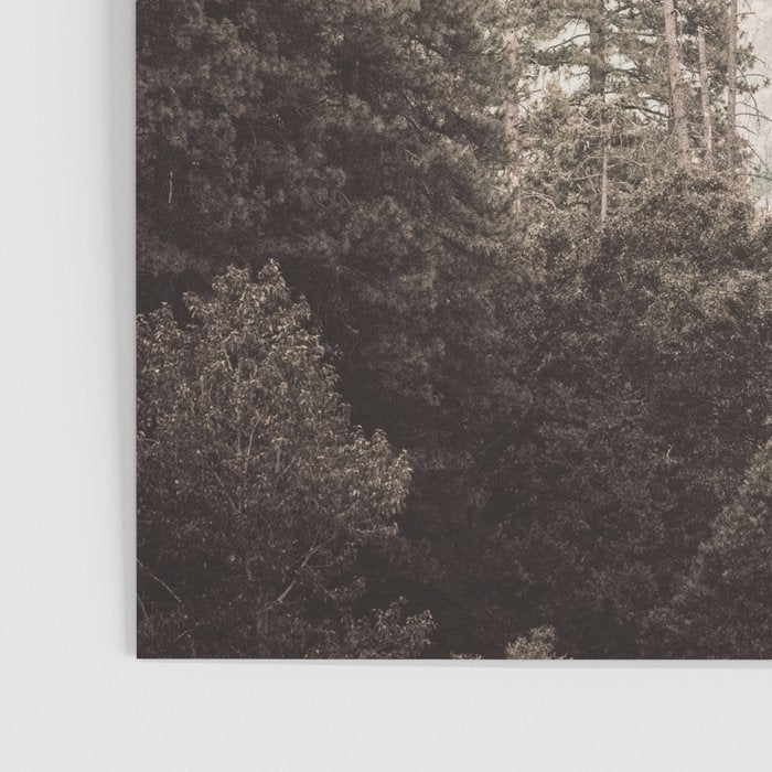 Yosemite Valley Poster Gallery Image 3