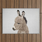 Donkey - Colorful Outdoor Rug Gallery Image 1