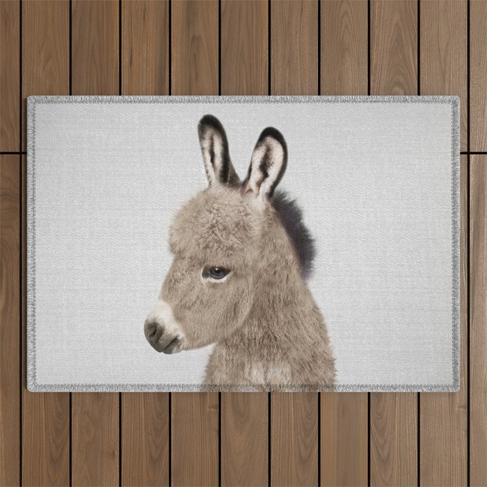 Donkey - Colorful Outdoor Rug Gallery Image 1