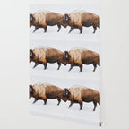 Buffalo In The Snow Wallpaper Gallery Image 2