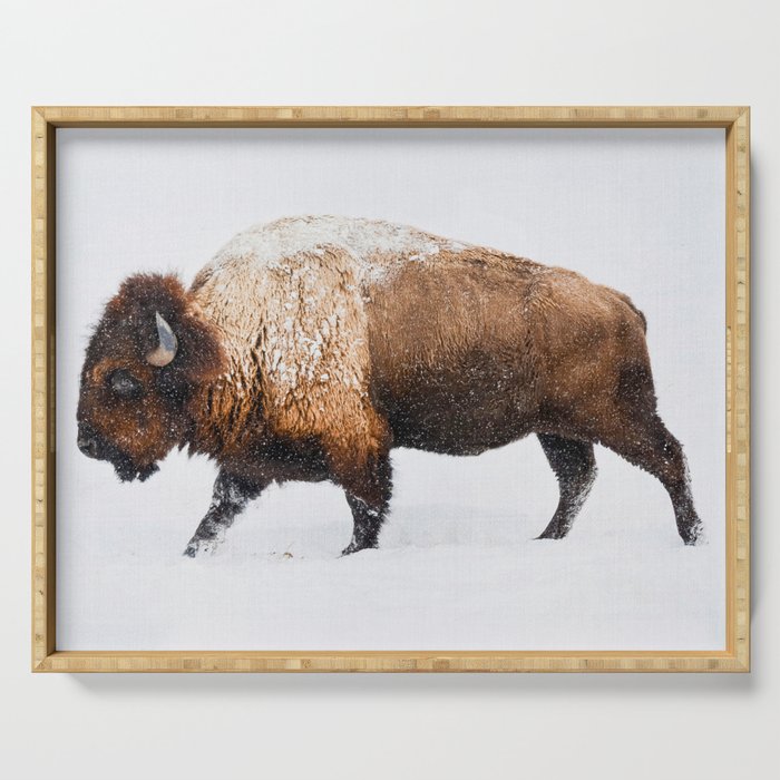 Buffalo In The Snow Serving Tray Gallery Image 1