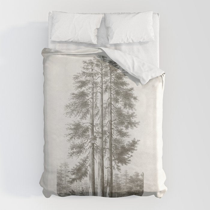 Sequoia Tree Illustration - The Three Graces at Mariposa Grove in Yosemite National Park Duvet Cover Gallery Image 6
