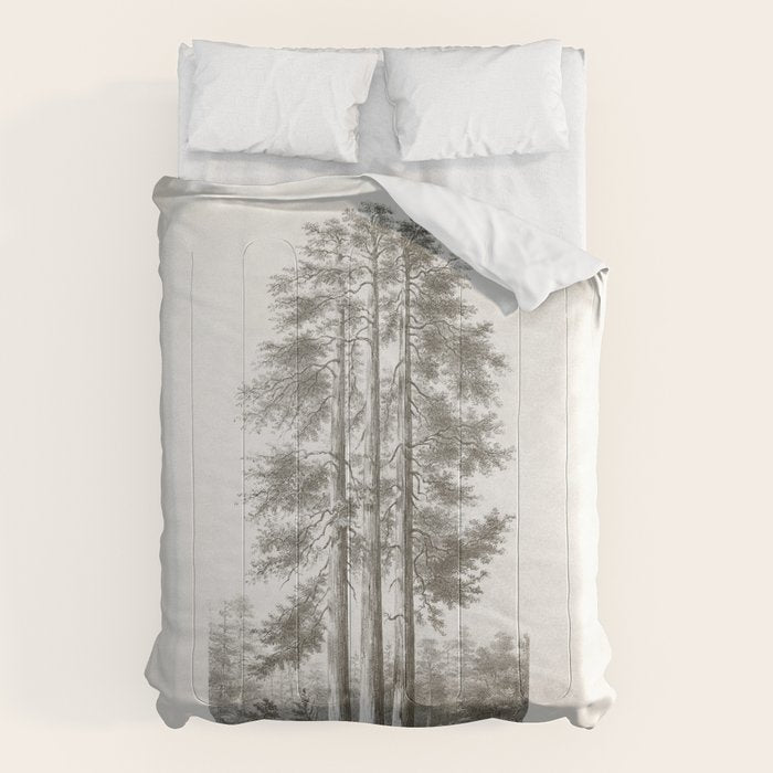 Sequoia Tree Illustration - The Three Graces at Mariposa Grove in Yosemite National Park Comforter Gallery Image 6