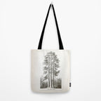 Sequoia Tree Illustration - The Three Graces at Mariposa Grove in Yosemite National Park Tote Bag Gallery Image 2