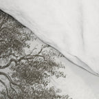 Sequoia Tree Illustration - The Three Graces at Mariposa Grove in Yosemite National Park Comforter Gallery Image 4