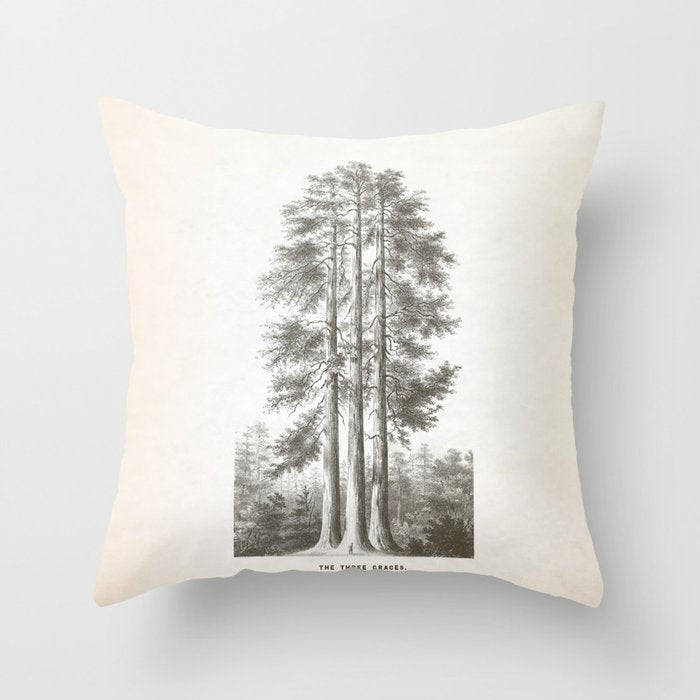 Sequoia Tree Illustration - The Three Graces at Mariposa Grove in Yosemite National Park Throw Pillow Gallery Image 1