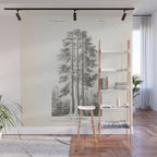Sequoia Tree Illustration - The Three Graces at Mariposa Grove in Yosemite National Park Wall Mural Gallery Image 1