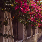 Sicily Coffee Mug Gallery Image 2