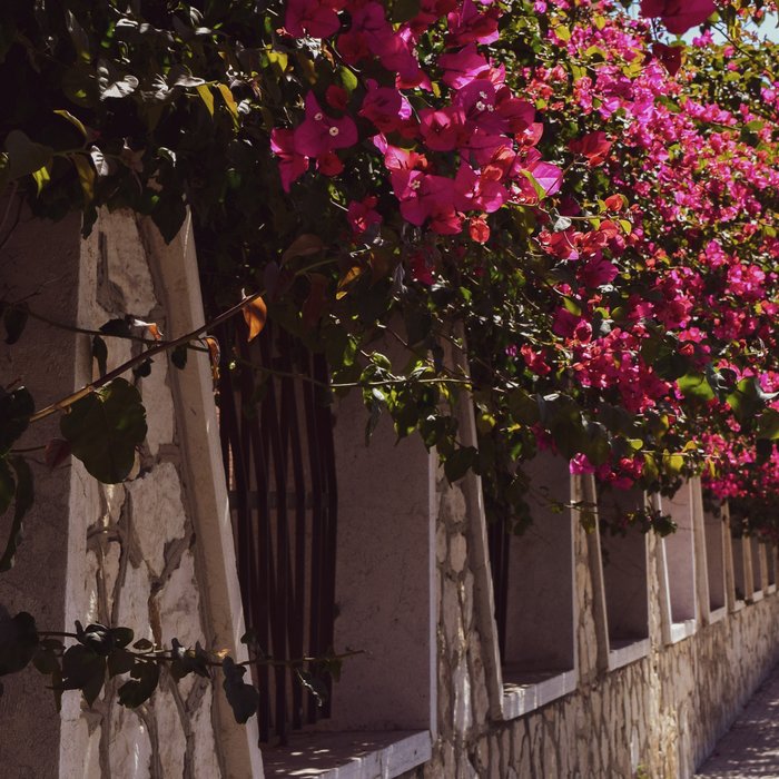 Sicily Coffee Mug Gallery Image 2