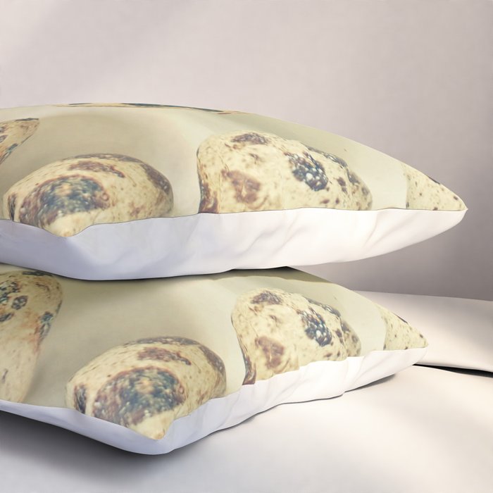 Quail Eggs Pillow Sham Gallery Image 3