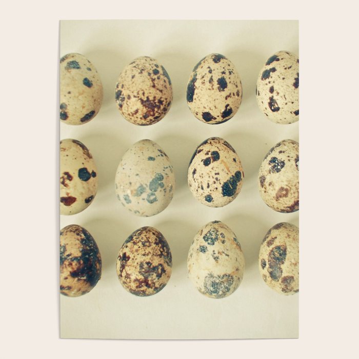 Quail Eggs Poster Gallery Image 1