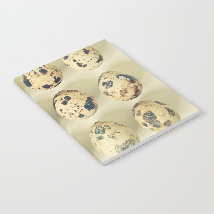 Quail Eggs Notebook Gallery Image 1