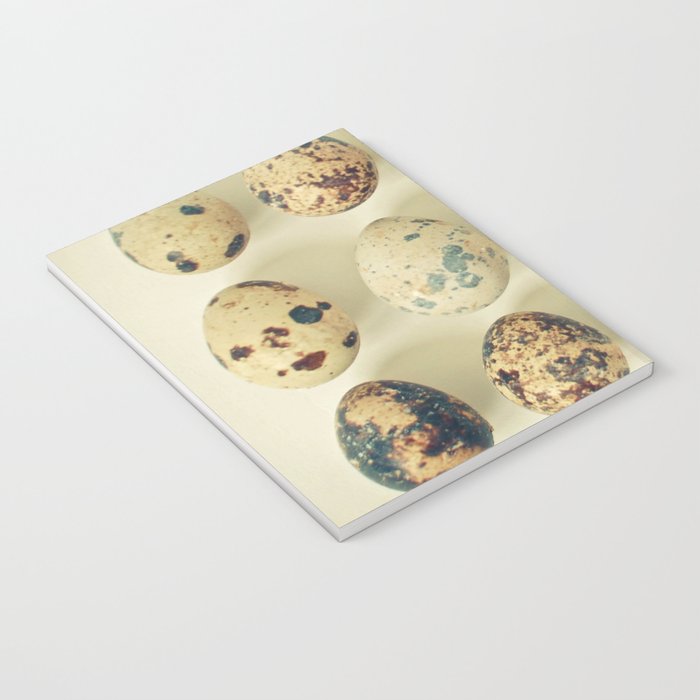 Quail Eggs Notebook Gallery Image 3
