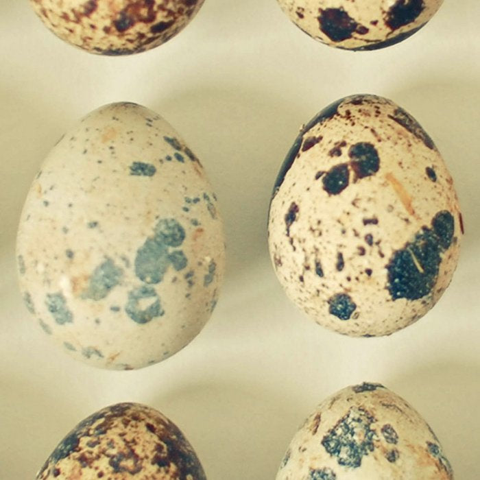 Quail Eggs Coffee Mug Gallery Image 2