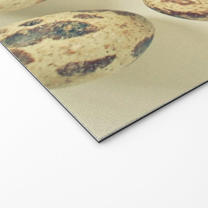 Quail Eggs Welcome Mat Gallery Image 2