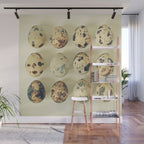 Quail Eggs Wall Mural Gallery Image 1