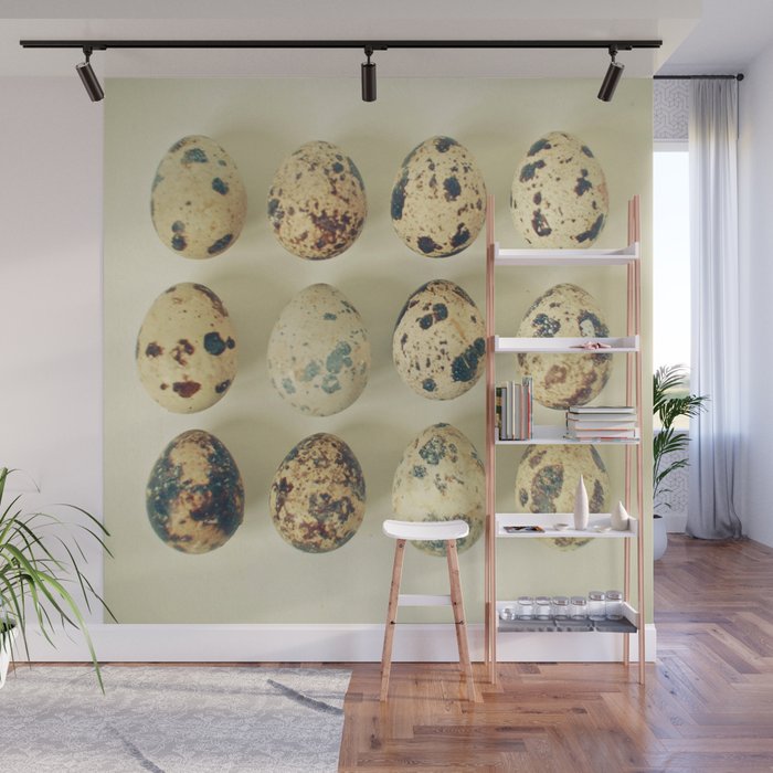 Quail Eggs Wall Mural Gallery Image 1