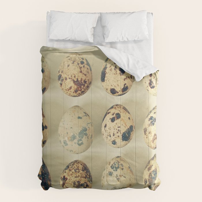 Quail Eggs Comforter Gallery Image 6