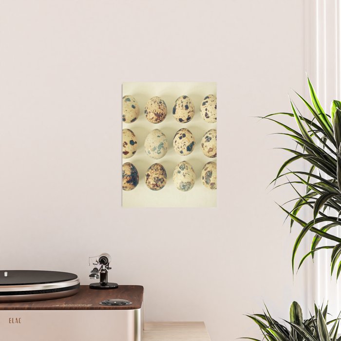 Quail Eggs Poster Gallery Image 2