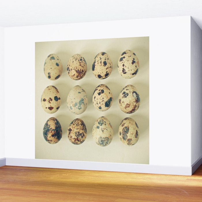 Quail Eggs Wall Mural Gallery Image 2