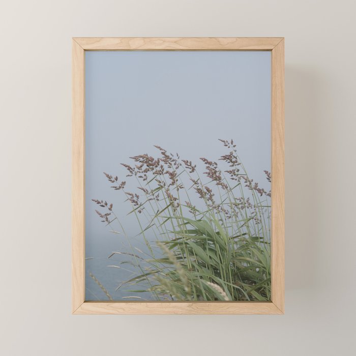 summer along the coast - maine travel photograph nature  Mini Art Print Gallery Image 1
