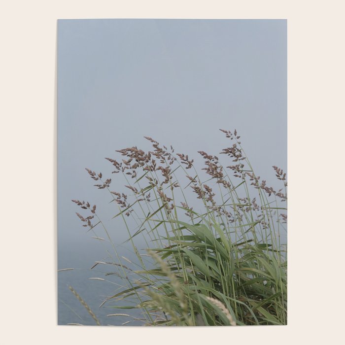 summer along the coast - maine travel photograph nature  Poster Gallery Image 1