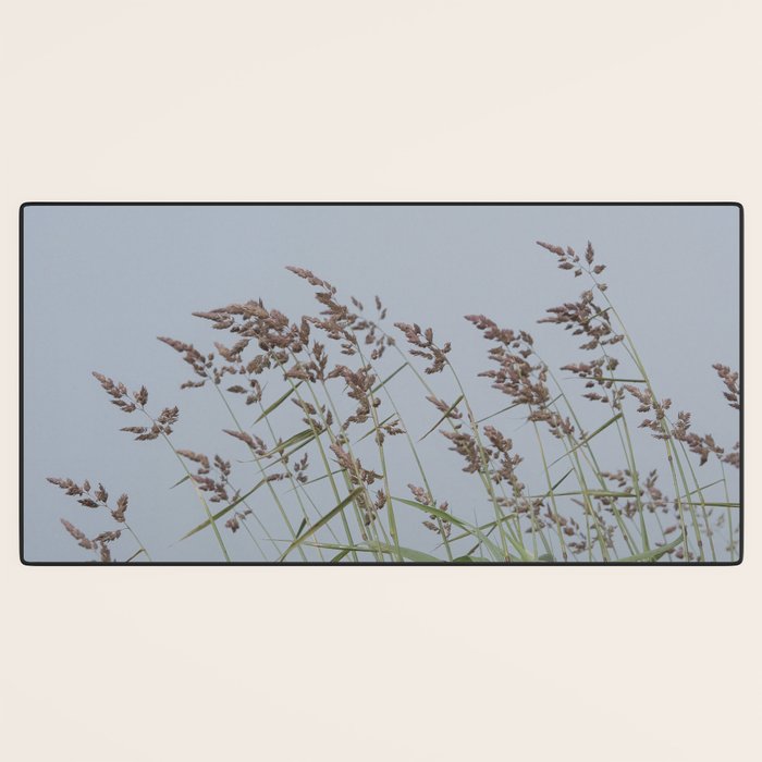 summer along the coast - maine travel photograph nature  Desk Mat Gallery Image 3
