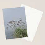 summer along the coast - maine travel photograph nature  Stationery Card Gallery Image 2