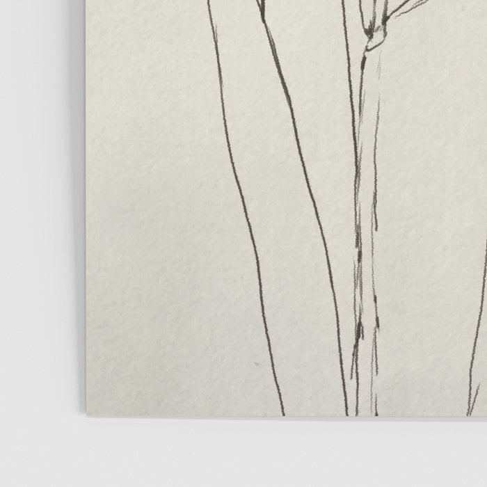 Iris Outline Poster Gallery Image 3
