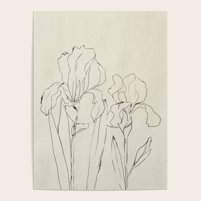 Iris Outline Poster Gallery Image 4