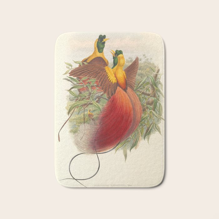 Birds-of-paradise (Paradisea Sanguinea) by John Gould, 1875-1888 (benefitting the Nature Conservancy) Bath Mat Gallery Image 1