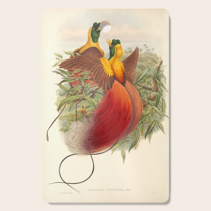 Birds-of-paradise (Paradisea Sanguinea) by John Gould, 1875-1888 (benefitting the Nature Conservancy) Cutting Board Gallery Image 1
