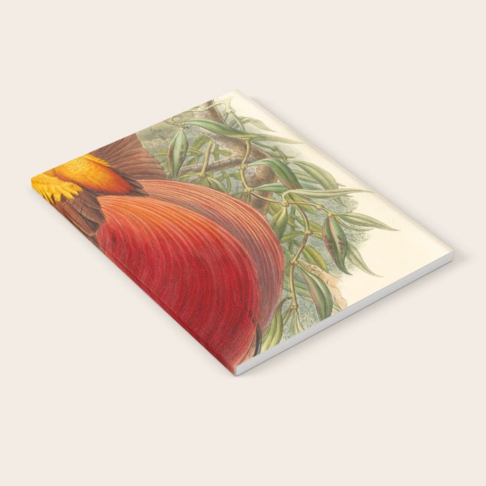 Birds-of-paradise (Paradisea Sanguinea) by John Gould, 1875-1888 (benefitting the Nature Conservancy) Notebook Gallery Image 2