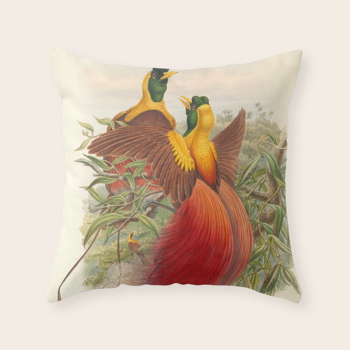 Birds-of-paradise (Paradisea Sanguinea) by John Gould, 1875-1888 (benefitting the Nature Conservancy) Throw Pillow Gallery Image 6