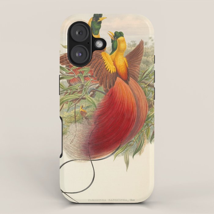 Birds-of-paradise (Paradisea Sanguinea) by John Gould, 1875-1888 (benefitting the Nature Conservancy) iPhone Case Gallery Image 1