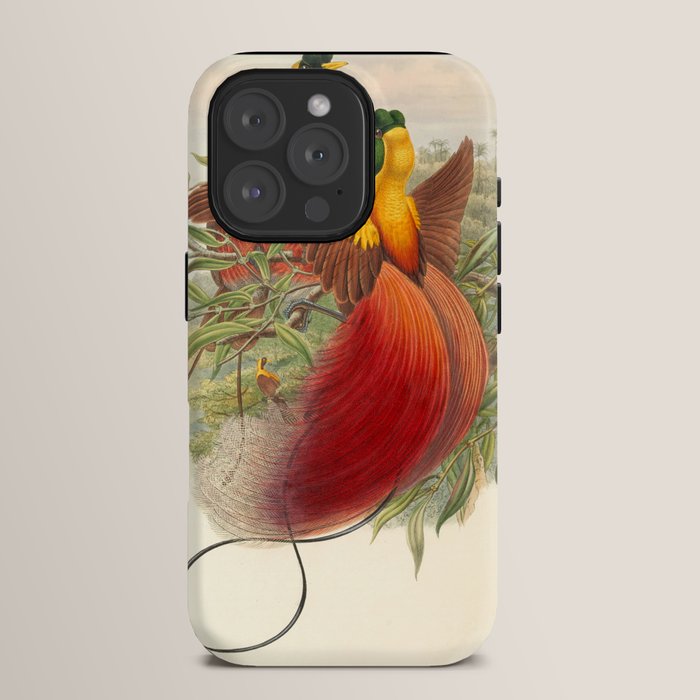 Birds-of-paradise (Paradisea Sanguinea) by John Gould, 1875-1888 (benefitting the Nature Conservancy) iPhone Case Gallery Image 15
