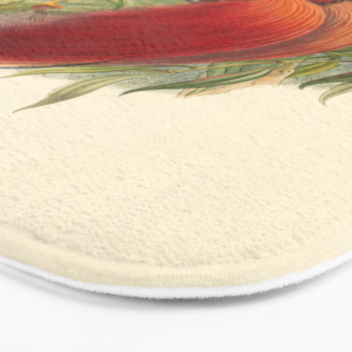 Birds-of-paradise (Paradisea Sanguinea) by John Gould, 1875-1888 (benefitting the Nature Conservancy) Bath Mat Gallery Image 3