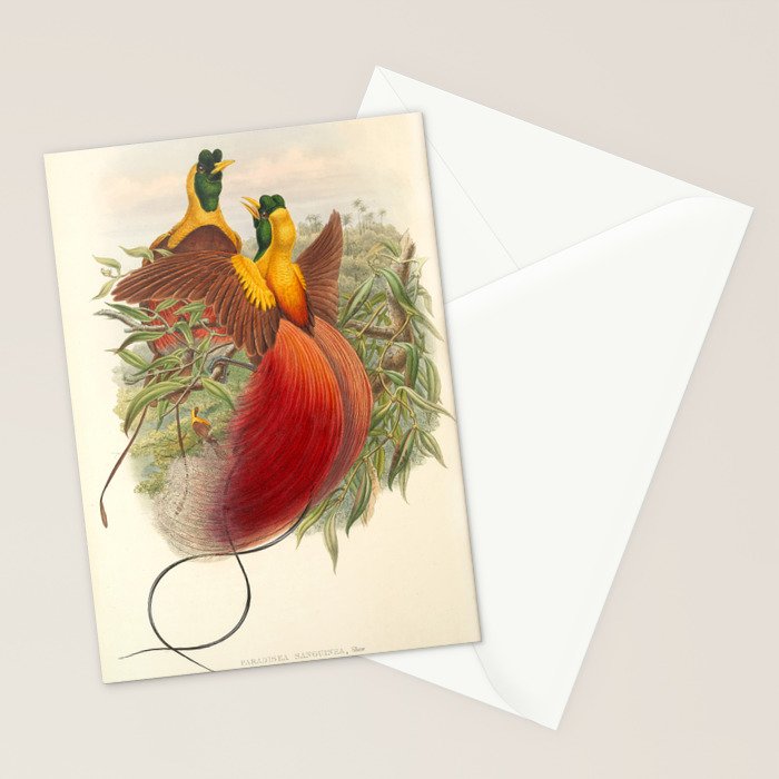Birds-of-paradise (Paradisea Sanguinea) by John Gould, 1875-1888 (benefitting the Nature Conservancy) Stationery Card Gallery Image 2