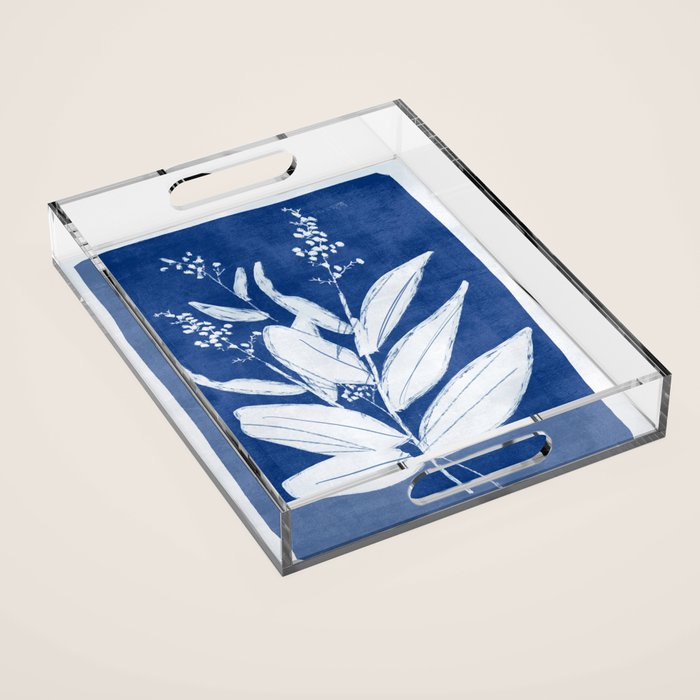 minimal plant 24/Blue Acrylic Tray Gallery Image 1