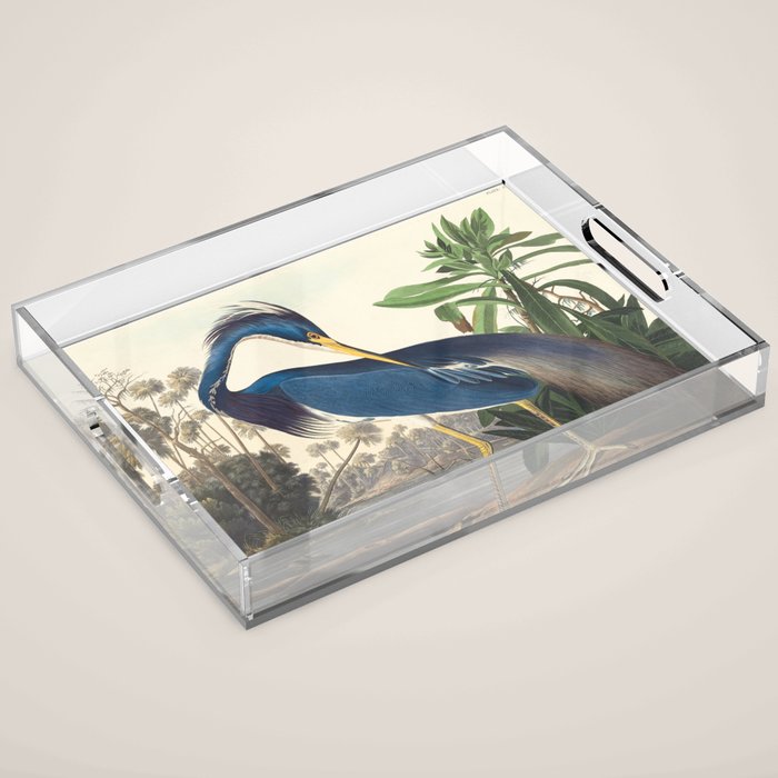 Louisiana Heron, Robert Havell after John James Audubon Acrylic Tray Gallery Image 1