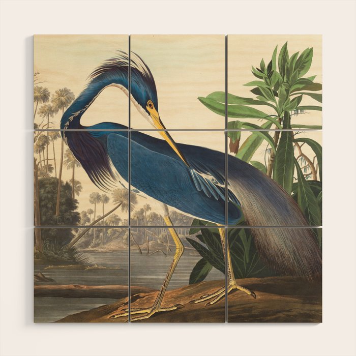Louisiana Heron, Robert Havell after John James Audubon Wood Wall Art Gallery Image 1