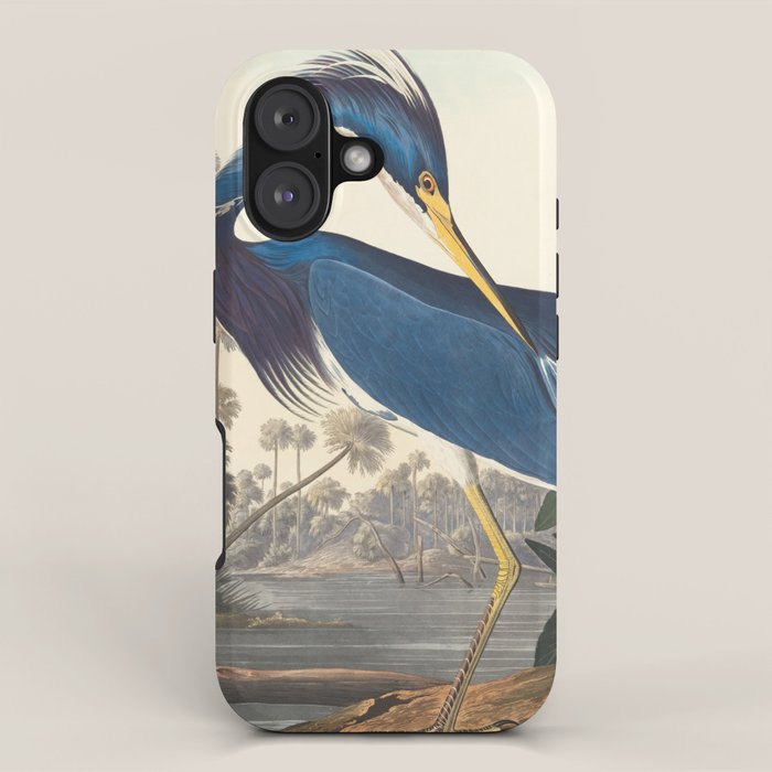 Louisiana Heron, Robert Havell after John James Audubon iPhone Case Gallery Image 1